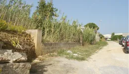 Aste giudiziarie immobiliari online - 8.0