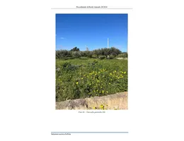 Aste giudiziarie immobiliari online - 8.0