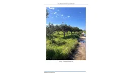 Aste giudiziarie immobiliari online - 9.0