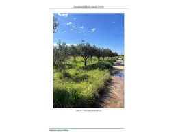 Aste giudiziarie immobiliari online - 9.0