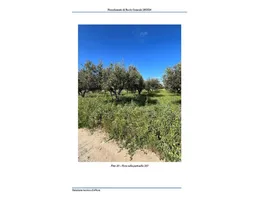 Aste giudiziarie immobiliari online - 10.0