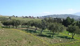 Aste giudiziarie immobiliari online - 12.0
