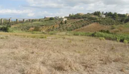 Aste giudiziarie immobiliari online - 10.0