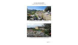 Aste giudiziarie immobiliari online - 8.0