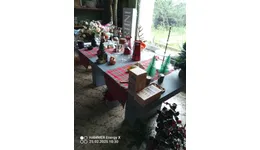 Aste giudiziarie mobiliari online - 10.0