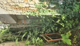 Aste giudiziarie immobiliari online - 6.0