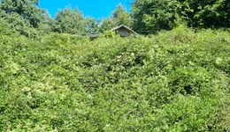 Aste giudiziarie immobiliari online - 2.0