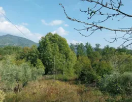 Aste giudiziarie immobiliari online - 3.0