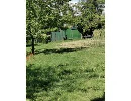 Aste giudiziarie immobiliari online - 9.0