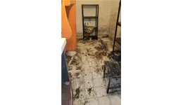Aste giudiziarie immobiliari online - 7.0