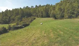 Aste giudiziarie immobiliari online - 2.0