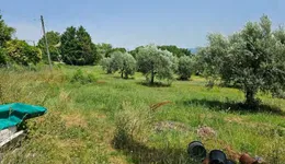 Aste giudiziarie immobiliari online - 2.0