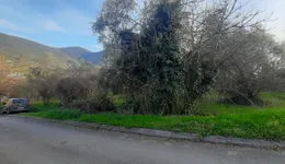 Aste giudiziarie immobiliari online - 5.0