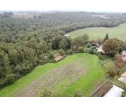 Aste giudiziarie immobiliari online - 2.0