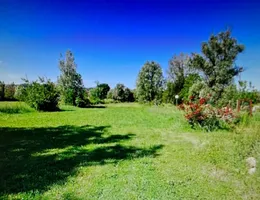 Aste giudiziarie immobiliari online - 4.0