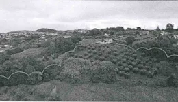 Aste giudiziarie immobiliari online - 7.0