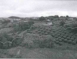 Aste giudiziarie immobiliari online - 12.0