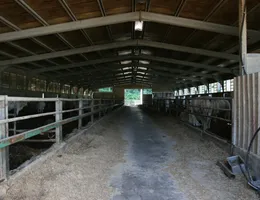 Aste giudiziarie immobiliari online - 6.0