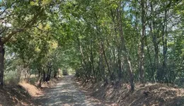 Aste giudiziarie immobiliari online - 12.0