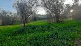 Aste giudiziarie immobiliari online - 7.0