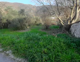 Aste giudiziarie immobiliari online - 6.0