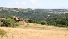 Aste giudiziarie immobiliari online - 2.0