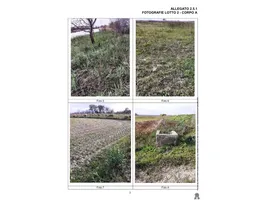 Aste giudiziarie immobiliari online - 12.0