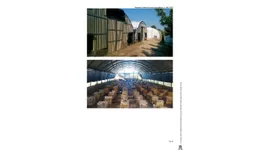 Aste giudiziarie immobiliari online - 6.0