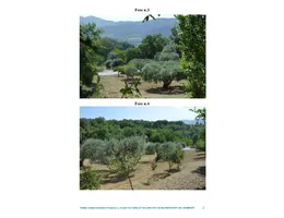 Aste giudiziarie immobiliari online - 2.0