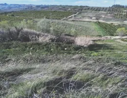 Aste giudiziarie immobiliari online - 3.0