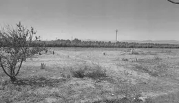 Aste giudiziarie immobiliari online - 3.0