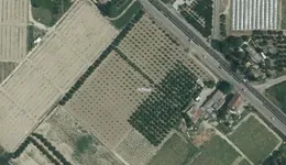 Aste giudiziarie immobiliari online - 1.0