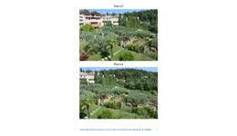 Aste giudiziarie immobiliari online - 4.0