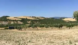 Aste giudiziarie immobiliari online - 9.0