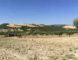 Aste giudiziarie immobiliari online - 11.0