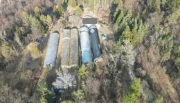 Aste giudiziarie immobiliari online - 12.0