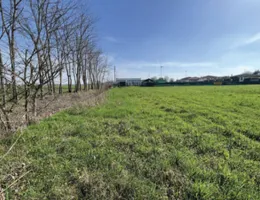 Aste giudiziarie immobiliari online - 10.0