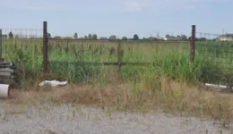 Aste giudiziarie immobiliari online - 8.0