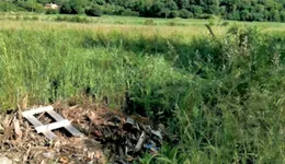 Aste giudiziarie immobiliari online - 11.0