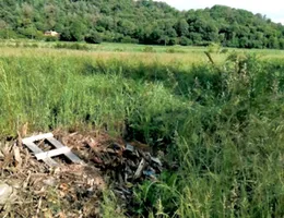 Aste giudiziarie immobiliari online - 2.0