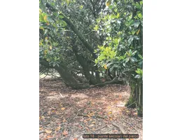 Aste giudiziarie immobiliari online - 7.0