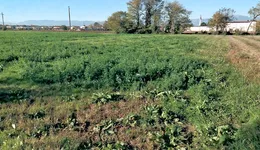 Aste giudiziarie immobiliari online - 6.0