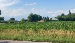 Aste giudiziarie immobiliari online - 10.0