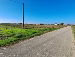 Aste giudiziarie immobiliari online - 4.0