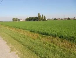 Aste giudiziarie immobiliari online - 2.0