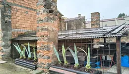 Aste giudiziarie immobiliari online - 6.0