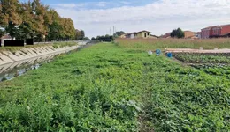 Aste giudiziarie immobiliari online - 8.0