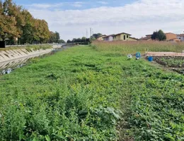 Aste giudiziarie immobiliari online - 12.0