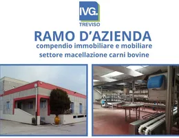 Aste giudiziarie beni immateriali online - 3.0