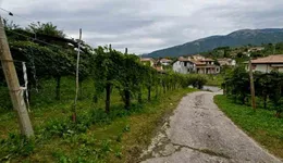 Aste giudiziarie immobiliari online - 2.0